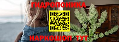 гашиш Новозыбков