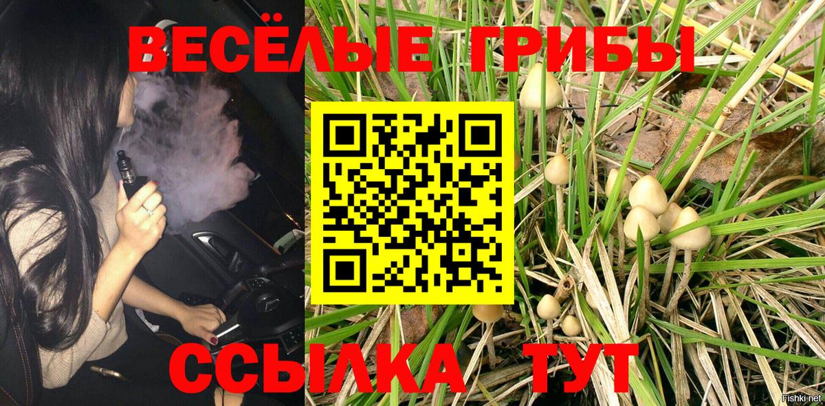 Галлюциногенные грибы MAGIC MUSHROOMS Топки