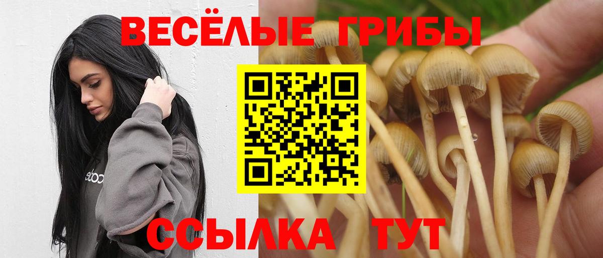 Галлюциногенные грибы Magic Shrooms  Вход с VPN  Галлюциногенные грибы Psilocybe  Топки 